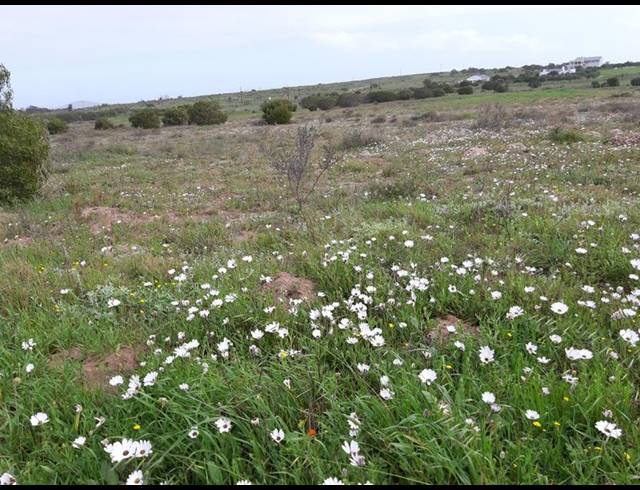 LAND FOR SALE IN LONG ACRES